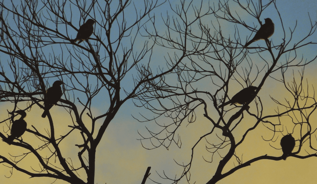 Hoe een ademsessie balans brengt in je leven