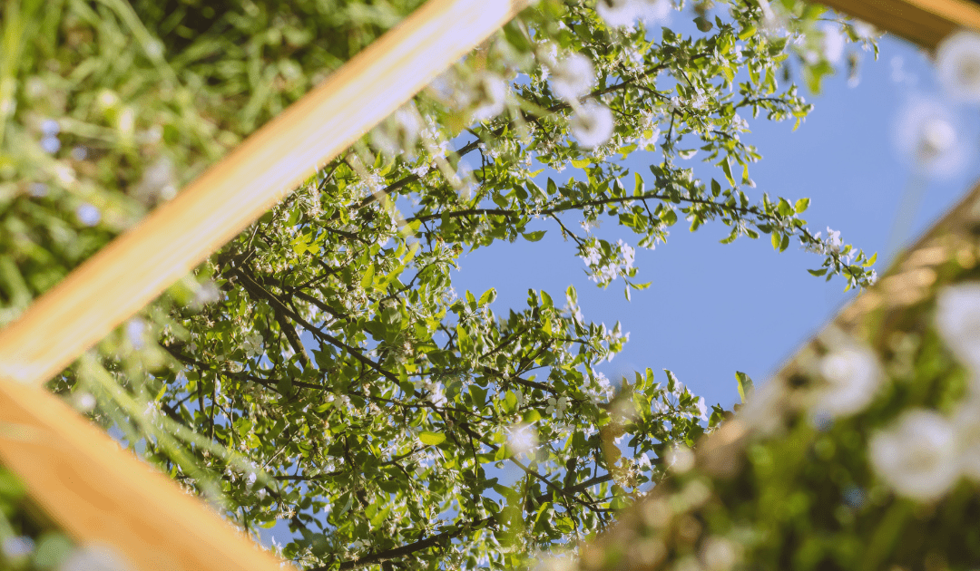 Afwijzing als spiegel; hoe chaos en emoties naar zelferkenning leiden