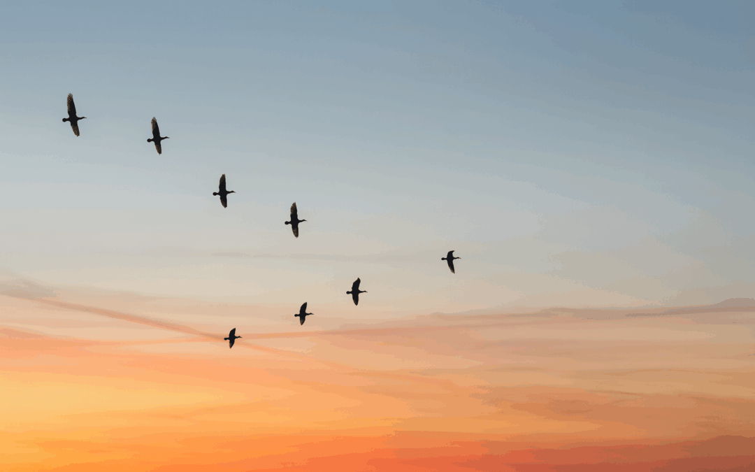 Contact verbreken met je ouders: zelfbehoud is geen egoïsme