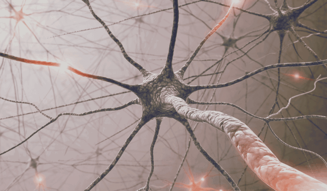 Overprikkeld, moe en gespannen? Zo herken je een overbelaste Nervus Vagus