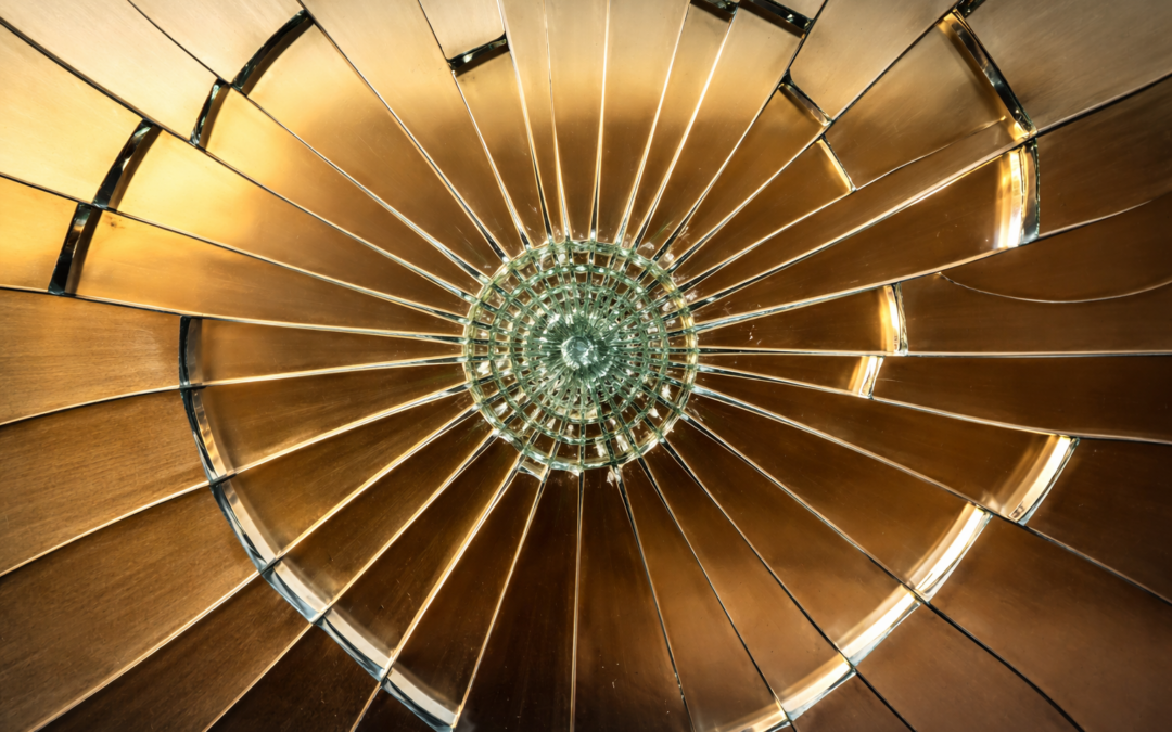 Liegen als beschermingsmechanisme: wat het zenuwstelsel ermee te maken heeft