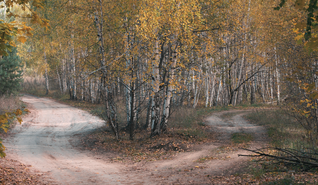 De onzichtbare gevolgen van aanpassen in je jeugd